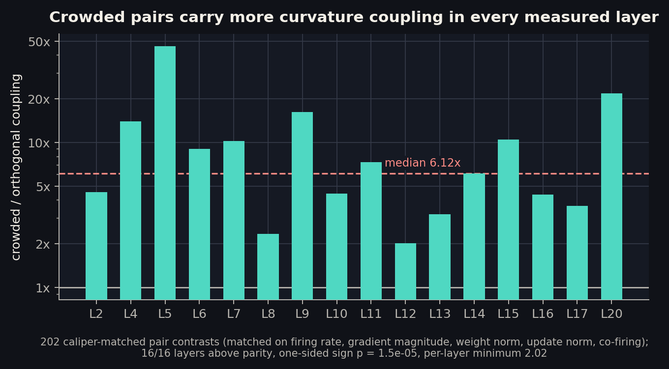Bar chart of the crowded versus orthogonal coupling ratio per layer, on a log scale. All sixteen measured layers sit above the parity line, ranging from about 2x to 46x, with the median at 6.12x.