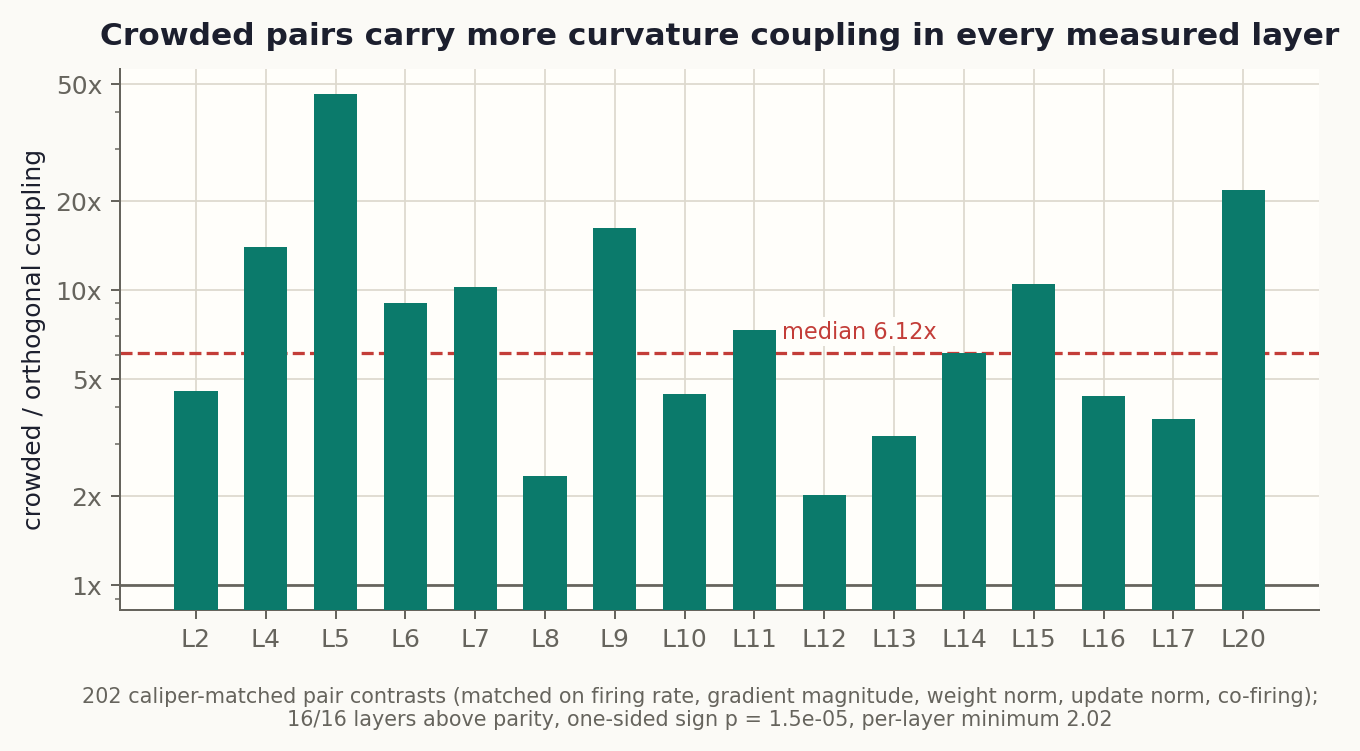 Bar chart of the crowded versus orthogonal coupling ratio per layer, on a log scale. All sixteen measured layers sit above the parity line, ranging from about 2x to 46x, with the median at 6.12x.